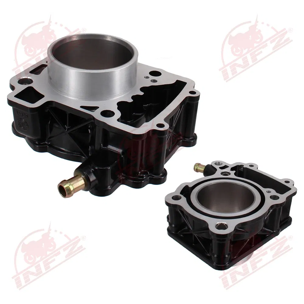 Infz Motorcycle Parts and Accessories Engine Block Cylinder Kit Bajaj Pulsar 200ns Discover125 Bm100 CT100