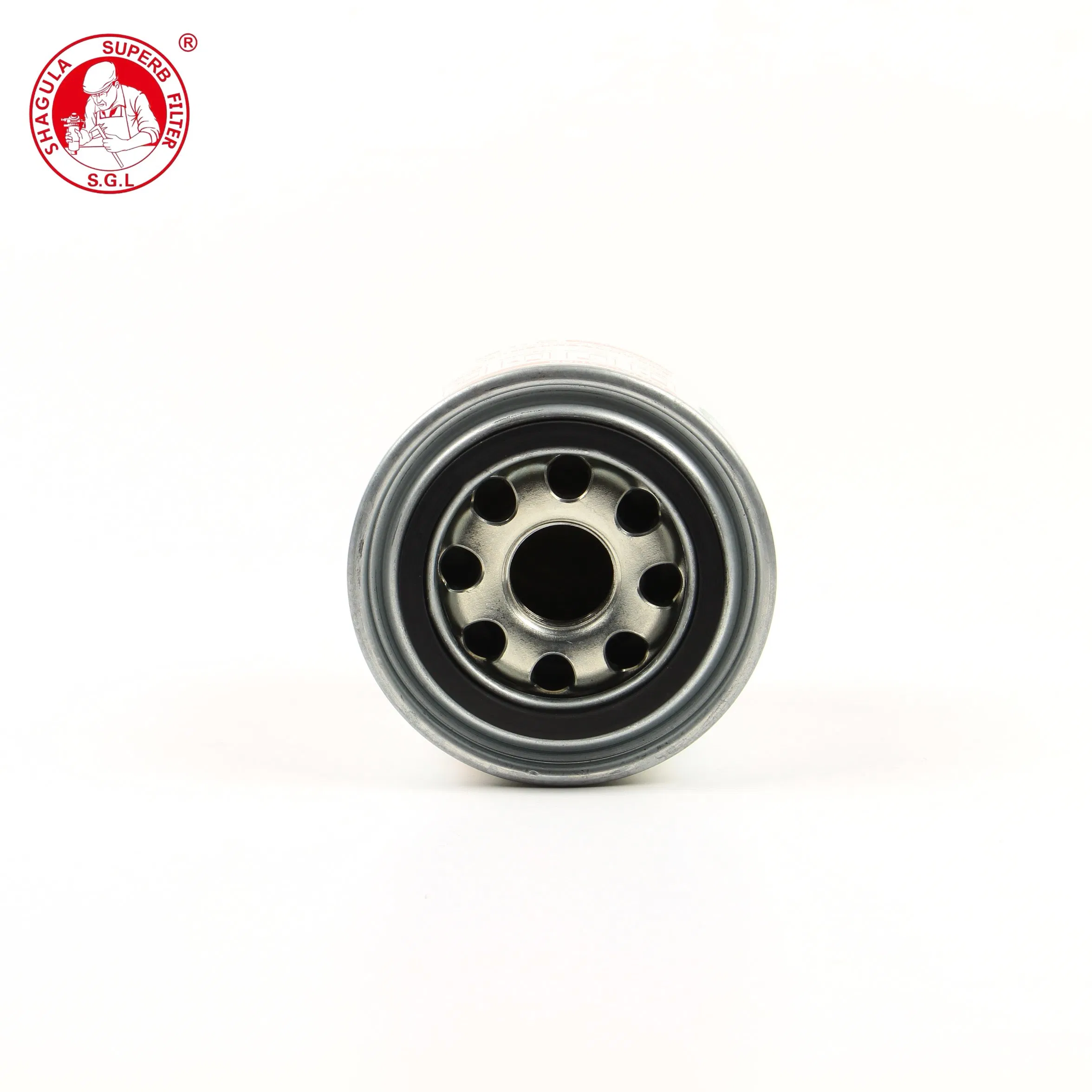 Wenzhou Sgl Manufacture New Condition Fuel Filter Nc-5327X H100 1000002416 Cx0805 Diesel Filter Element