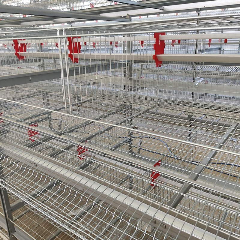Клетка для кур-несушек автоматическая H-типа