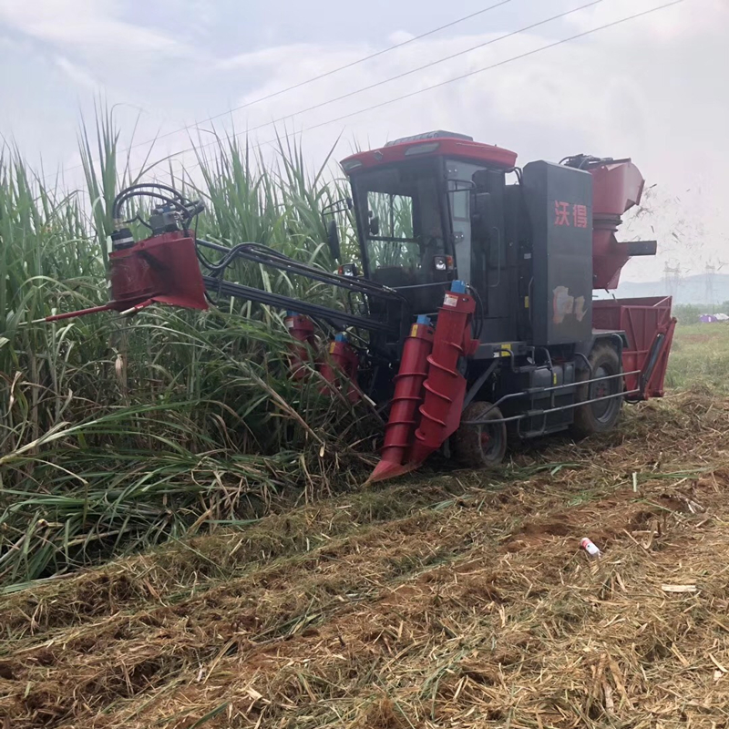 Самоходная уборочная машина для кукурузы и сахарного тростника