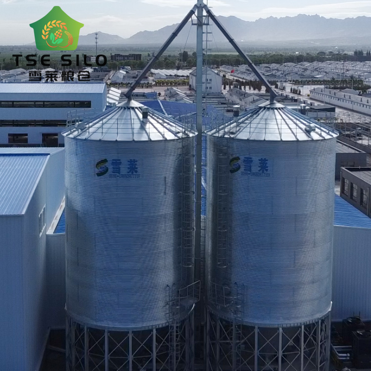 Оцинкованный стальной силос для зерна 100-10000 т