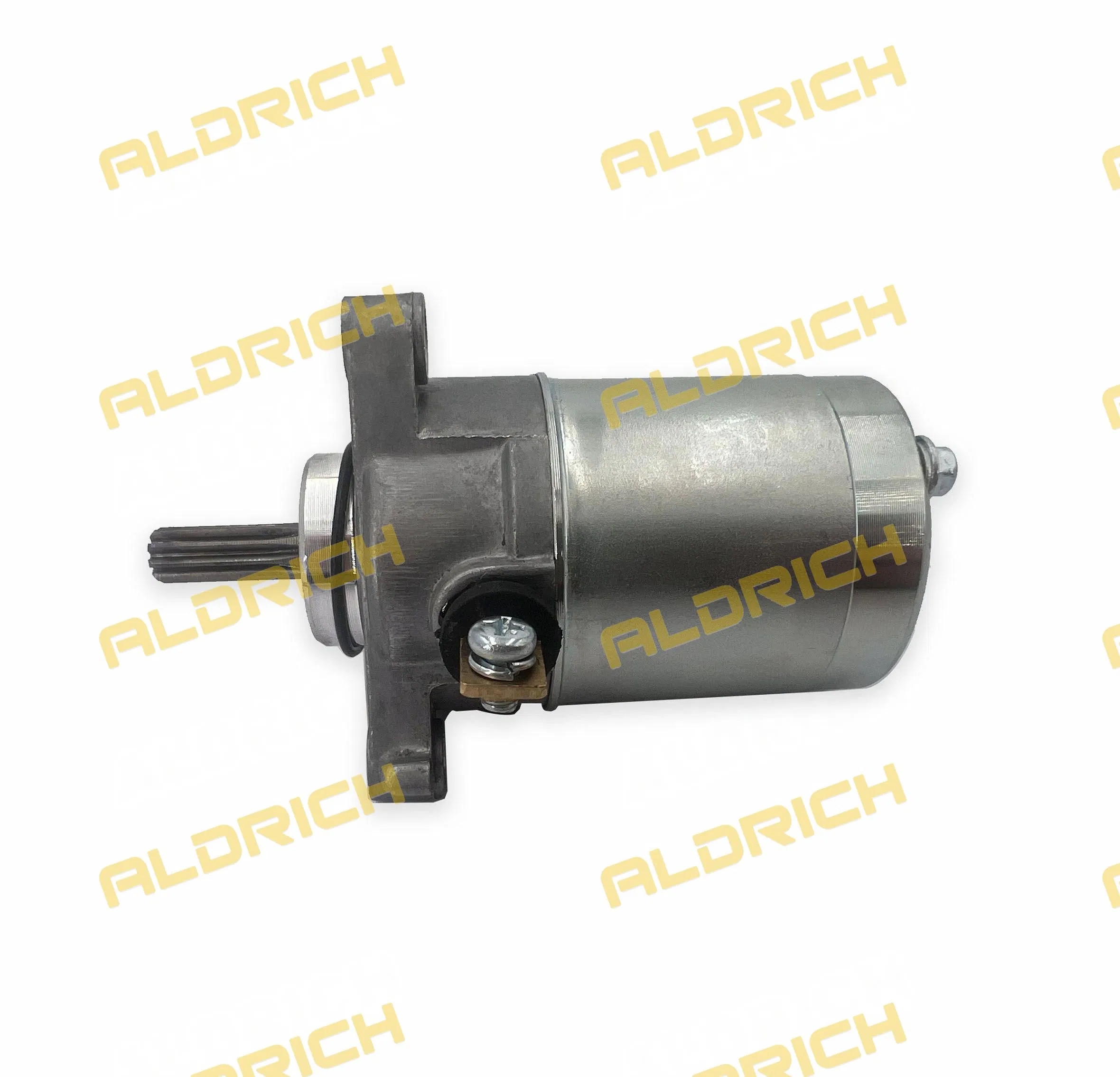 Aldrich Motorcycle Engine Parts Motorcycle Parts Motorcycle Starting Motor for YAMAHA Fz16