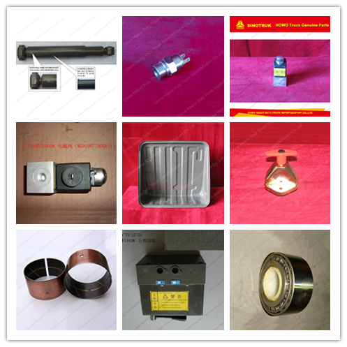 Sinotruk HOWO Truck Spare Parts Steering Damping Shock Absorbers (WG9114470106)