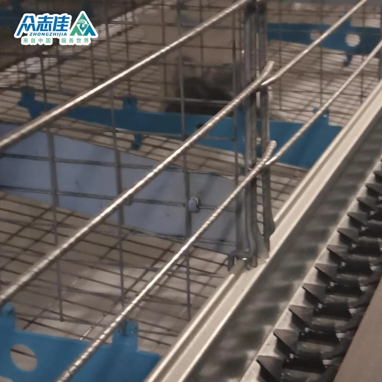 Многоярусная клеточная батарея для птицеводства H-образная