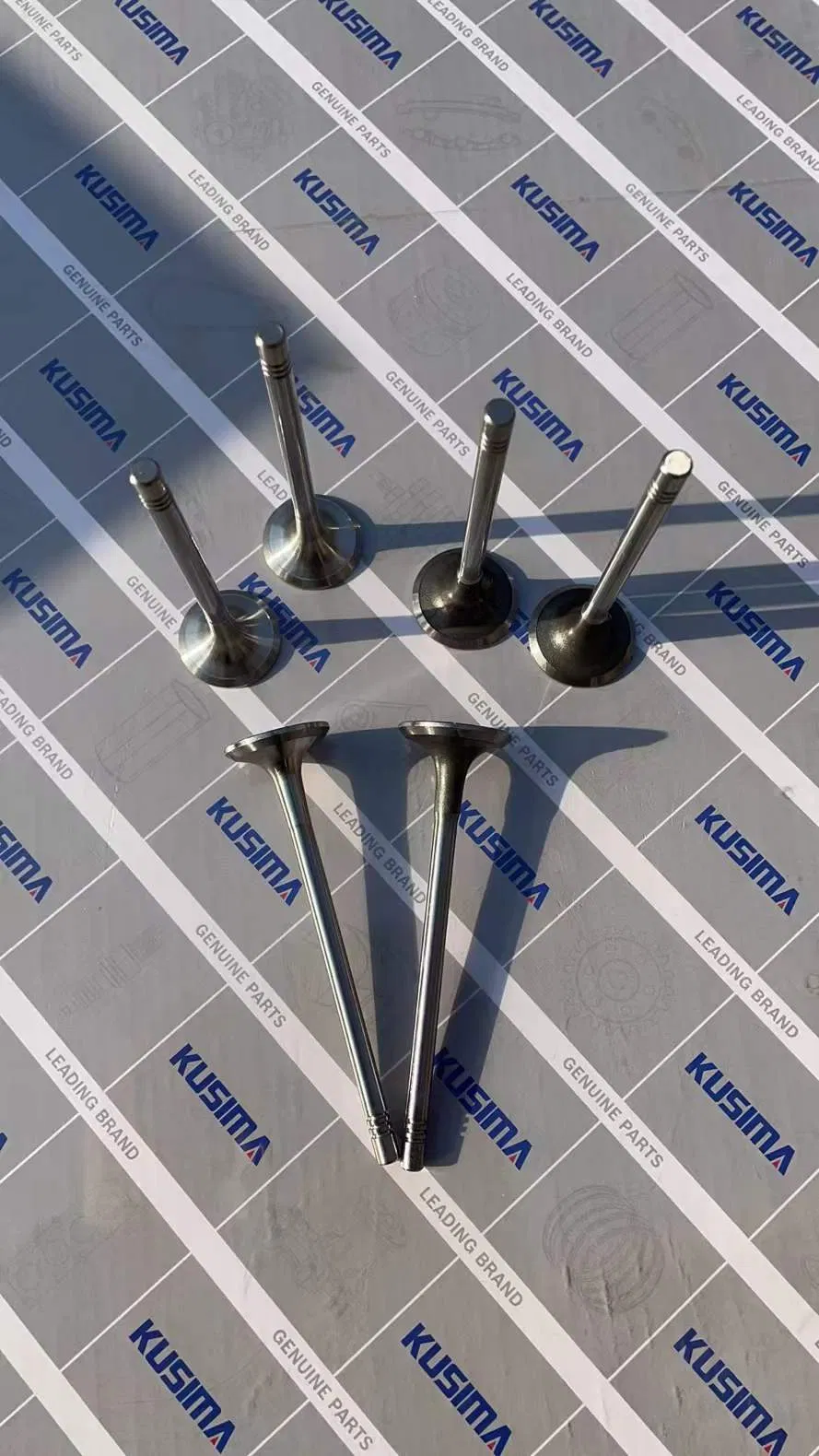 Клапан двигателя для Land Rover 204DT, 204DTD, 204DTA