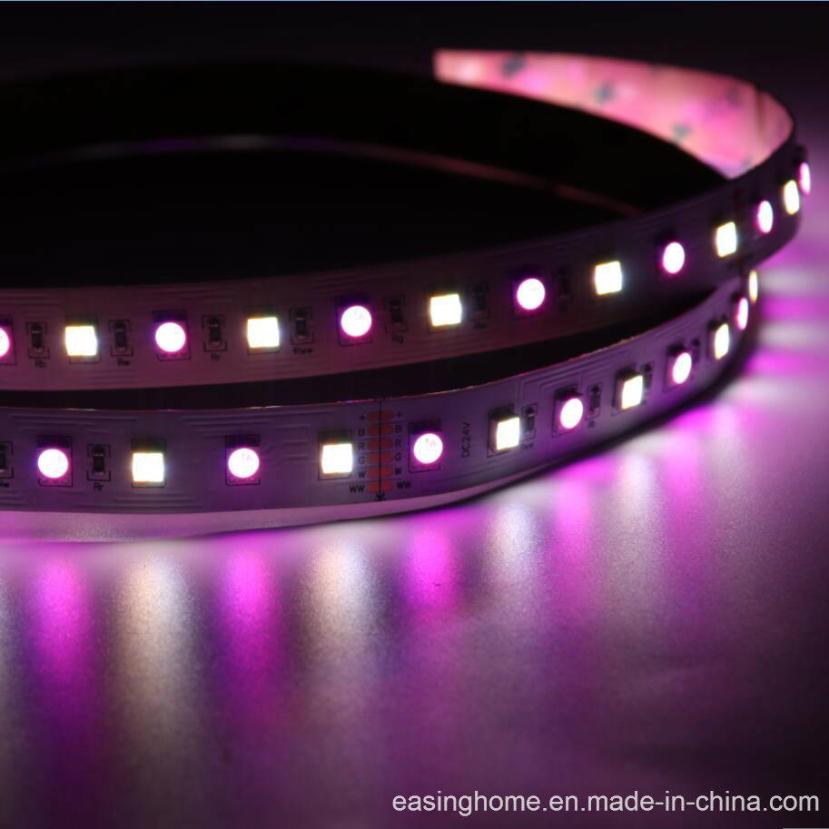 LED 5050SMD 5in 5 Chips 1 LED 14.4W/M 60LEDs/M Rgbww CRI>90 High Brightness Fexiable LED Rigid Strips Decoration Light