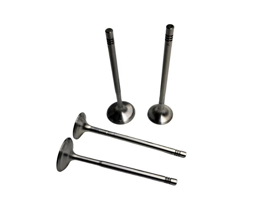 Клапан двигателя 058109601c 058109611e для Audi, Volkswagen, BMW