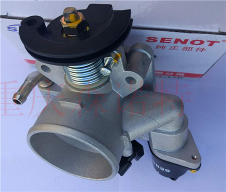 Дроссельный узел Chevrolet Spark 1.2 (24564833)