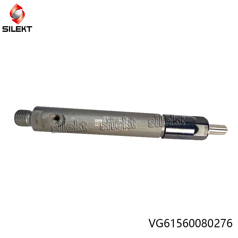 Fuel Injector Vg1560080276 61560080276 Weichai Euro II Truck Engine Parts Diesel Fuel Injector Wd615 Str Egr Common Rail Nozzle Piunger