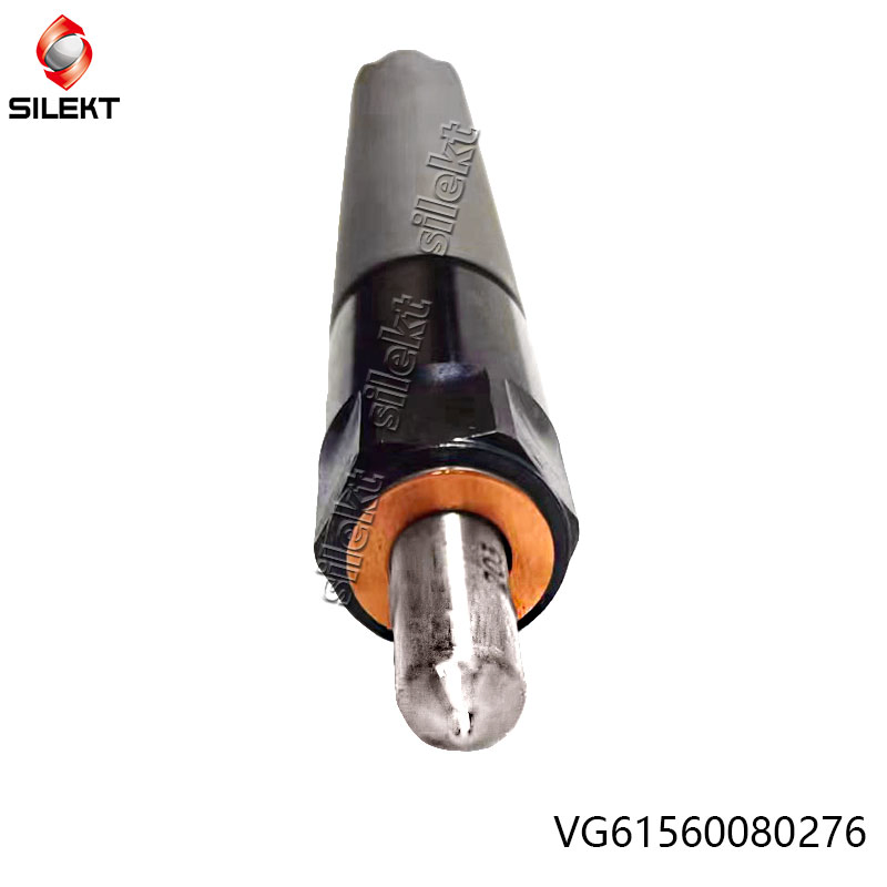 Fuel Injector Vg1560080276 61560080276 Weichai Euro II Truck Engine Parts Diesel Fuel Injector Wd615 Str Egr Common Rail Nozzle Piunger