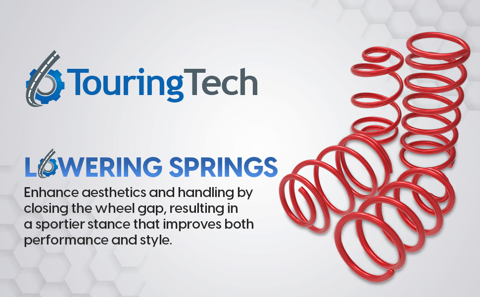 Профессиональные пружины для Ford Mustang 2015+