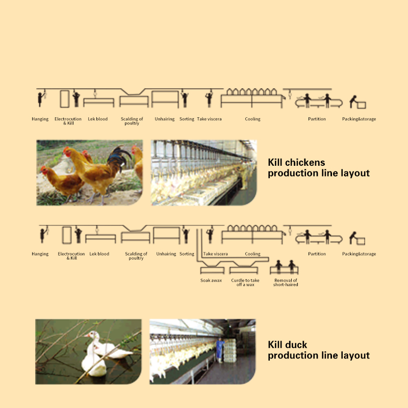 Линия для убоя птицы Halal TCA FD-1000