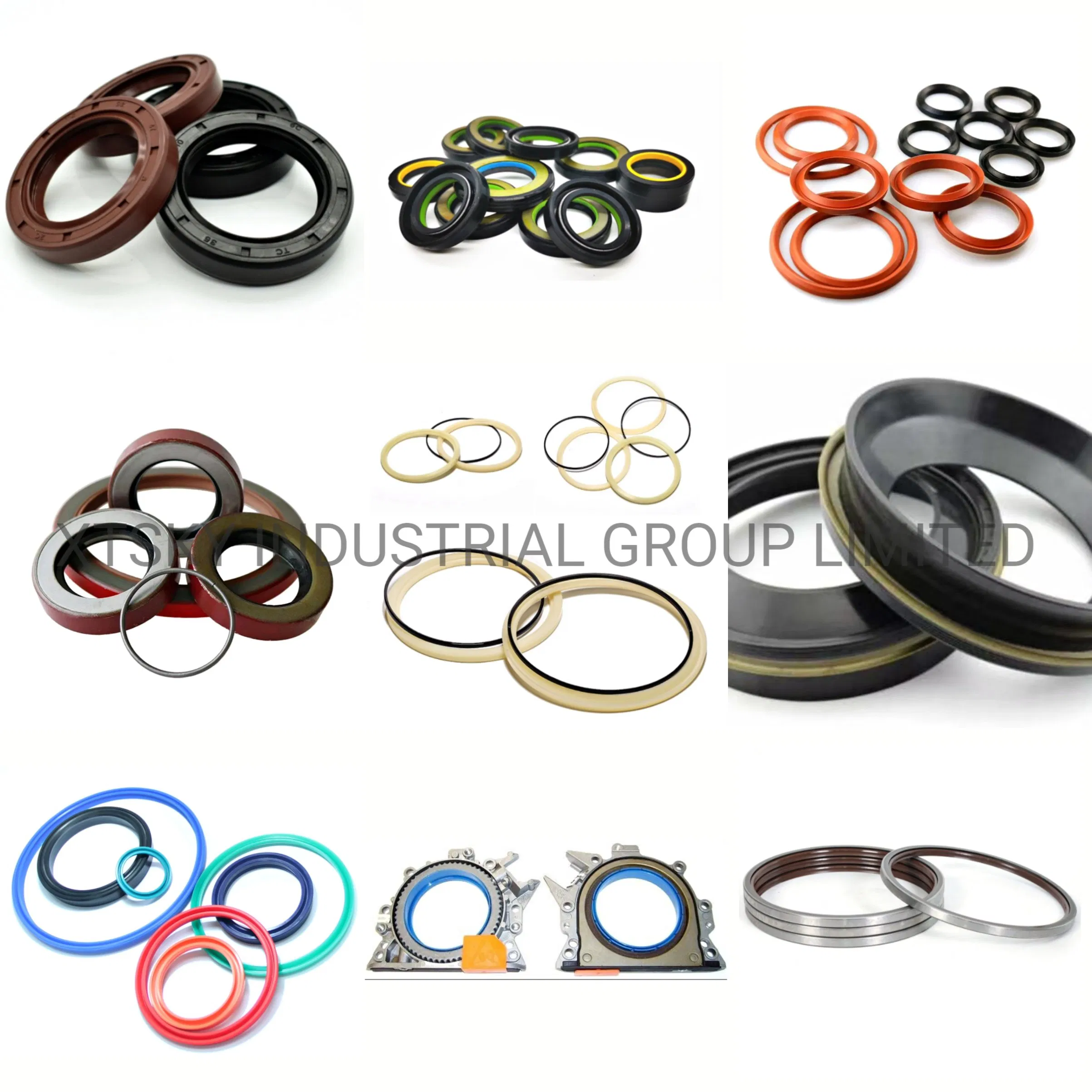 Xtsky High Quality Oil Seal 85*110*16
