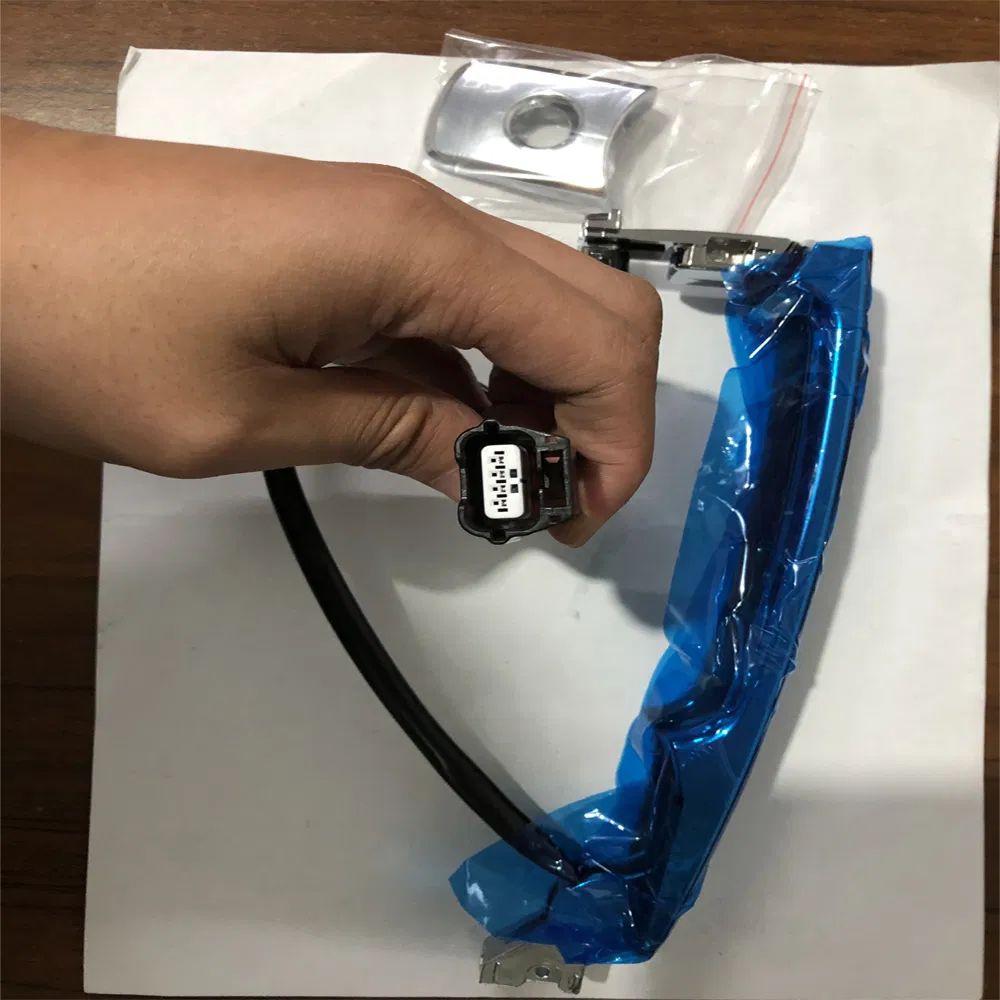 80640-CZ31b 80645-Ca000 Auto Door Handle for Nissan Murano Rogue 2010-2013