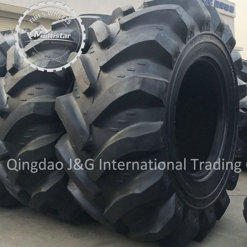 Forestry Ls-2 Steelfex and Terra Flotation Tire