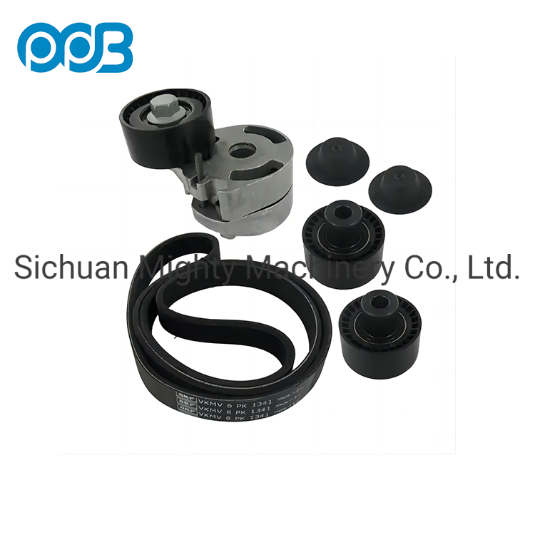 Комплект V-образных ремней VKMA33060 с роликом натяжителя для Ford