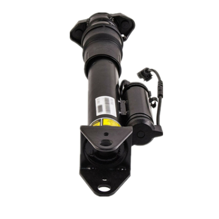 Factory Wholesale Auto Spare Parts Car Shock Absorber 2513201931