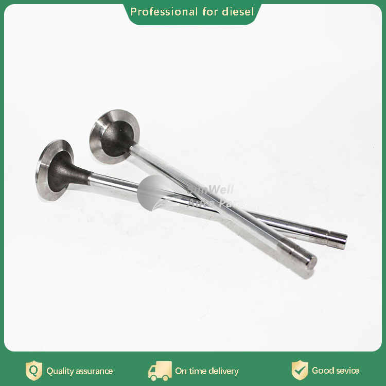 Впускной клапан X15 3685996 для дизельного двигателя