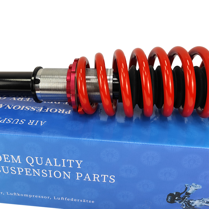 Rear M-Ercedes W220 Air Spring to Coil Spring Coversion Kit Coil Spring Shock