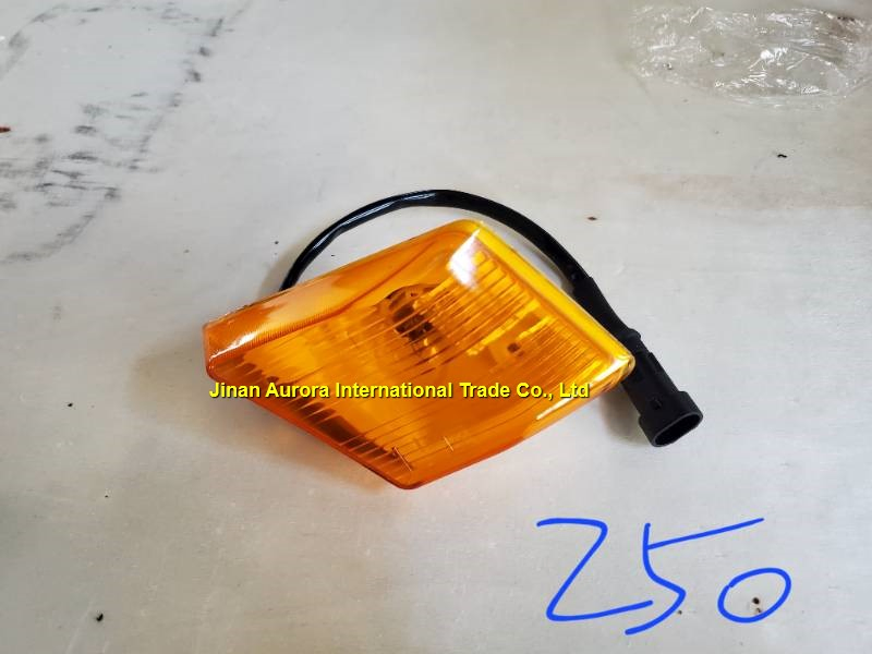 Поворотник Sinotruk DZ97189721330/40 для грузовиков