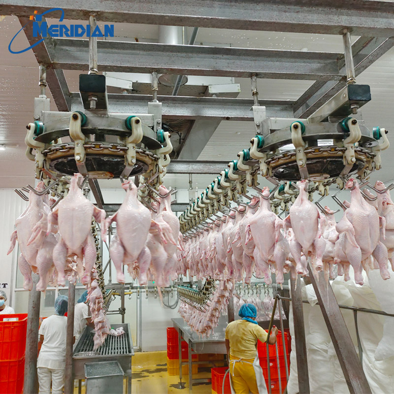 Оборудование для убоя птицы: линия для кур, уток, гусей