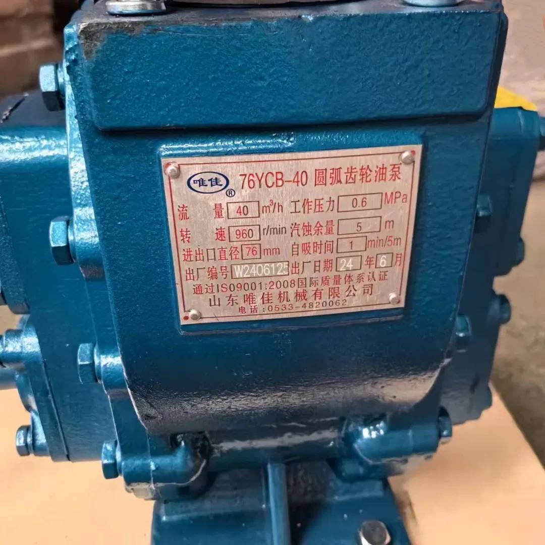 Sino Truck HOWO Truck Parts Engine Accessories 76ycb-40 Arc Gear Oil Pump W2406125