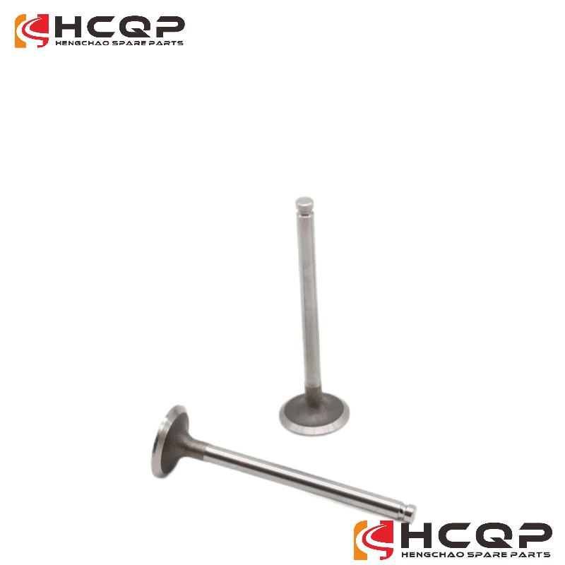 Впускной и выпускной клапан для двигателя Volvo 477447/477443