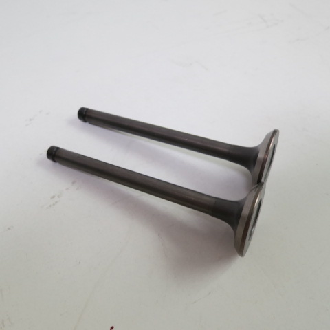 Выпускной и впускной клапан Cummins 32012412 32012413