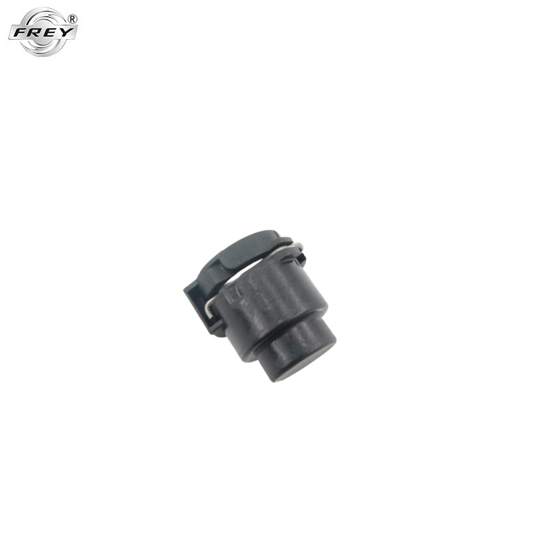 Sealing Blind Plug for N52 F18 F10 E65 E60 F07 F25 F15 G38 G30 OEM 11531436850