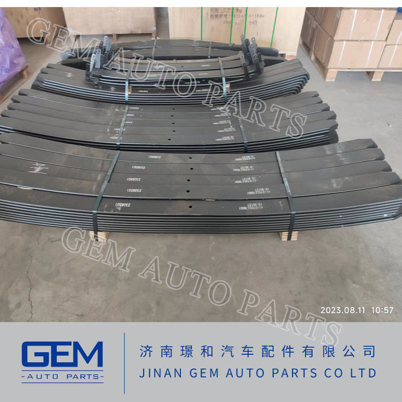 Gem High Quality Shock Absorber 85029010077 for Tonly Truck Tl875