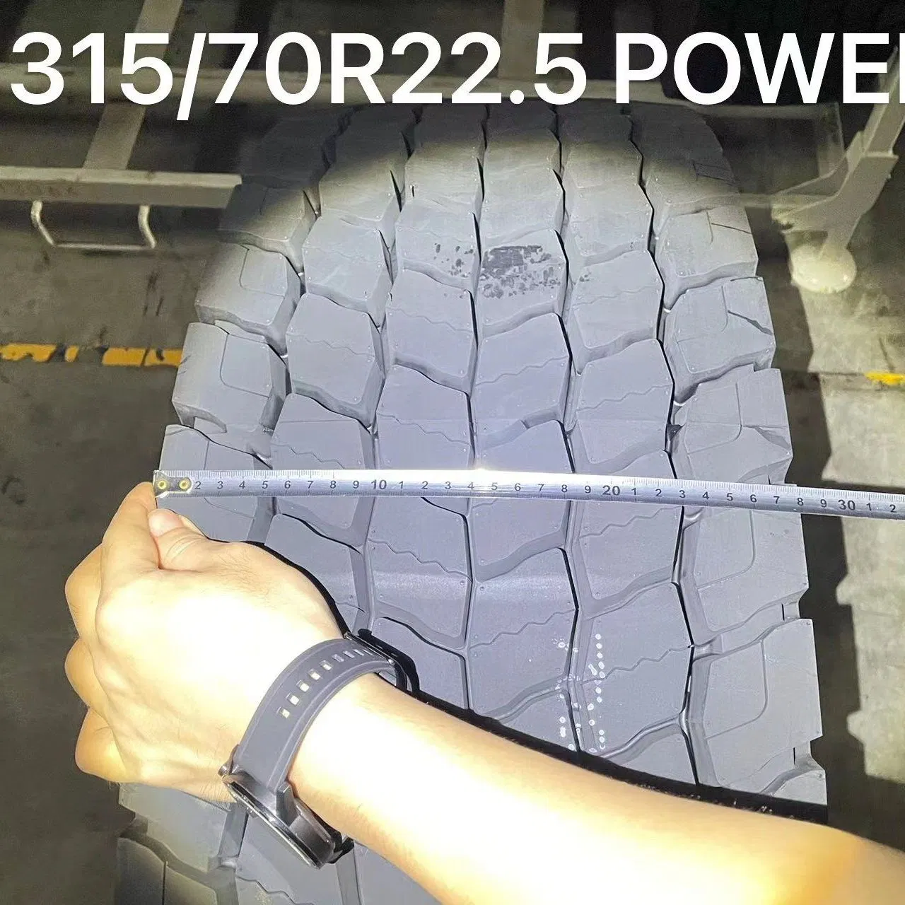 Wellplus Tyre Made in Thailand Good Price TBR Trailer&Steer&Drive for European Market