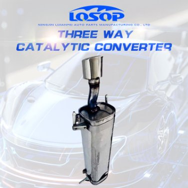 Глушитель выхлопной системы для Citroen Triumph