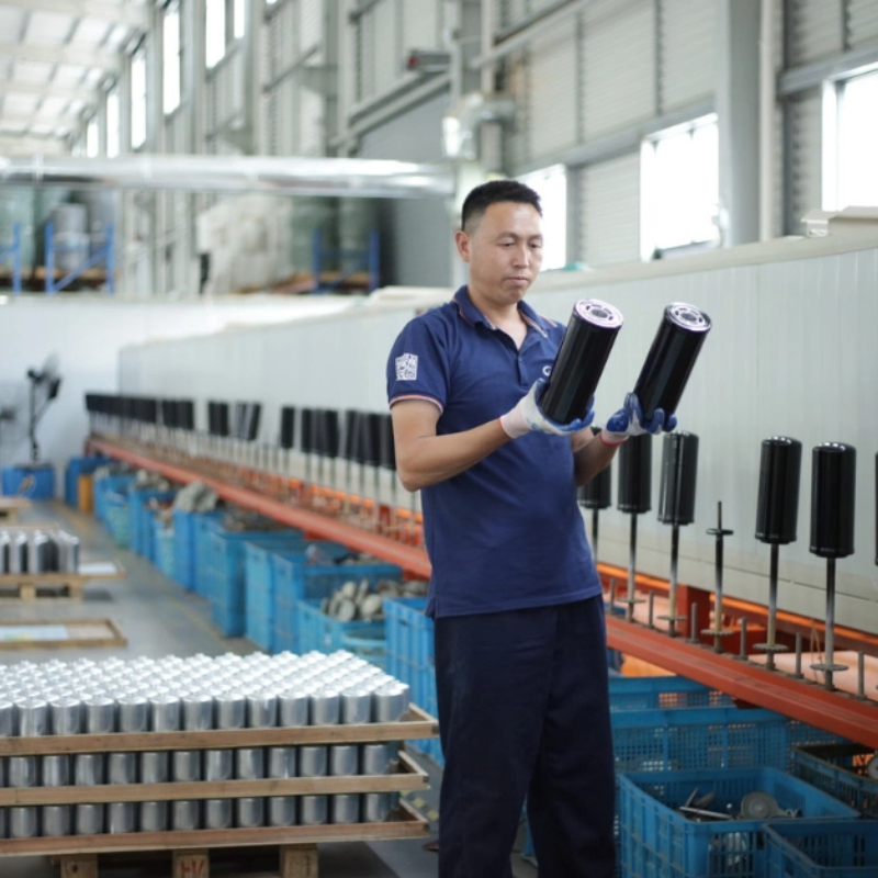 Customized OEM Fuel/Water Filter Element 2020pm 4448737 P552020 Fs20203 Sy460/465 1000fg