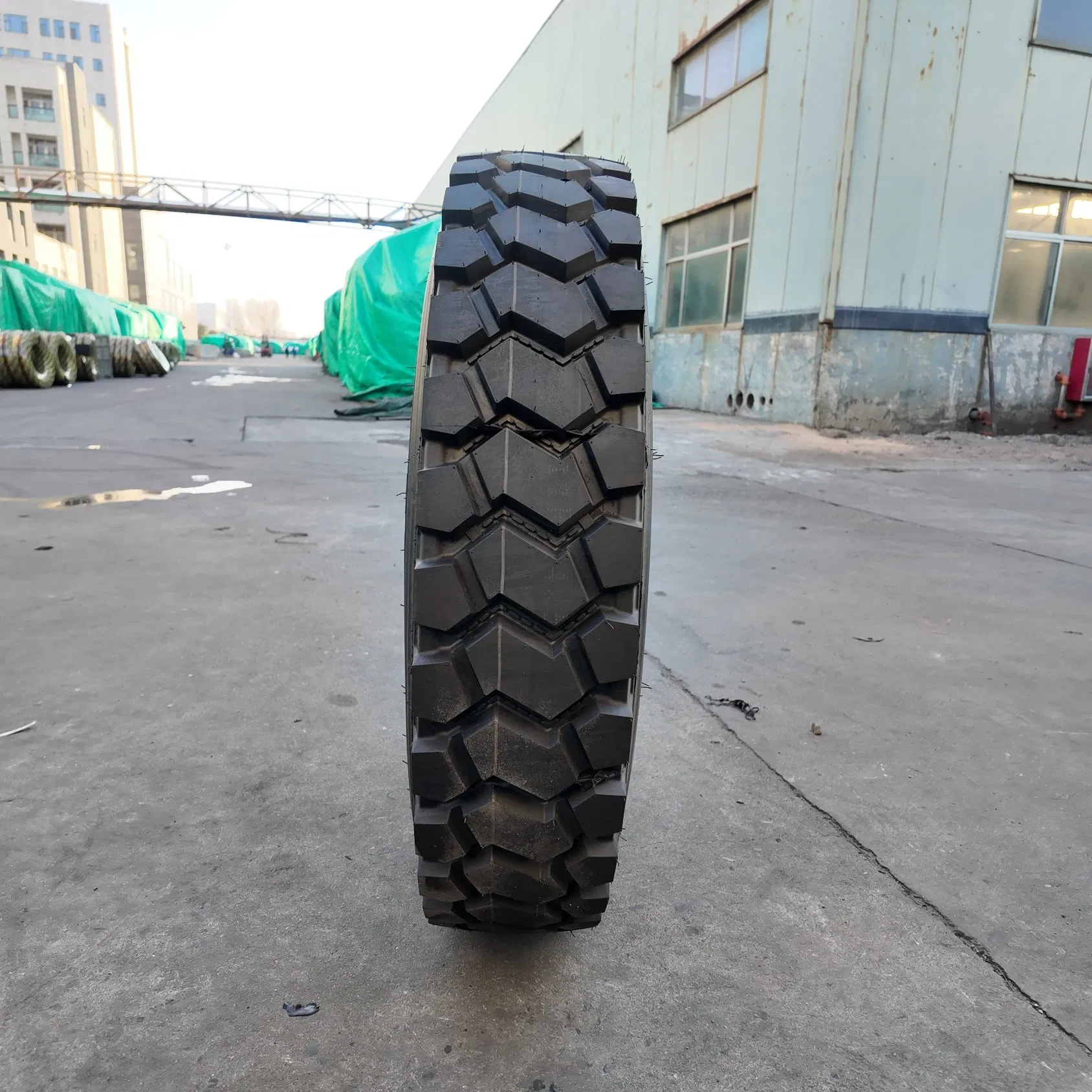 Certified Steer tire pneu pneu for EU-Market