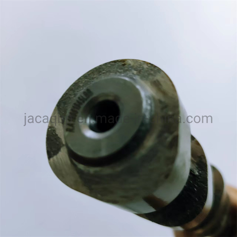 Распредвал впускной SAIC Maxus V80 T60 G10 (10048084)