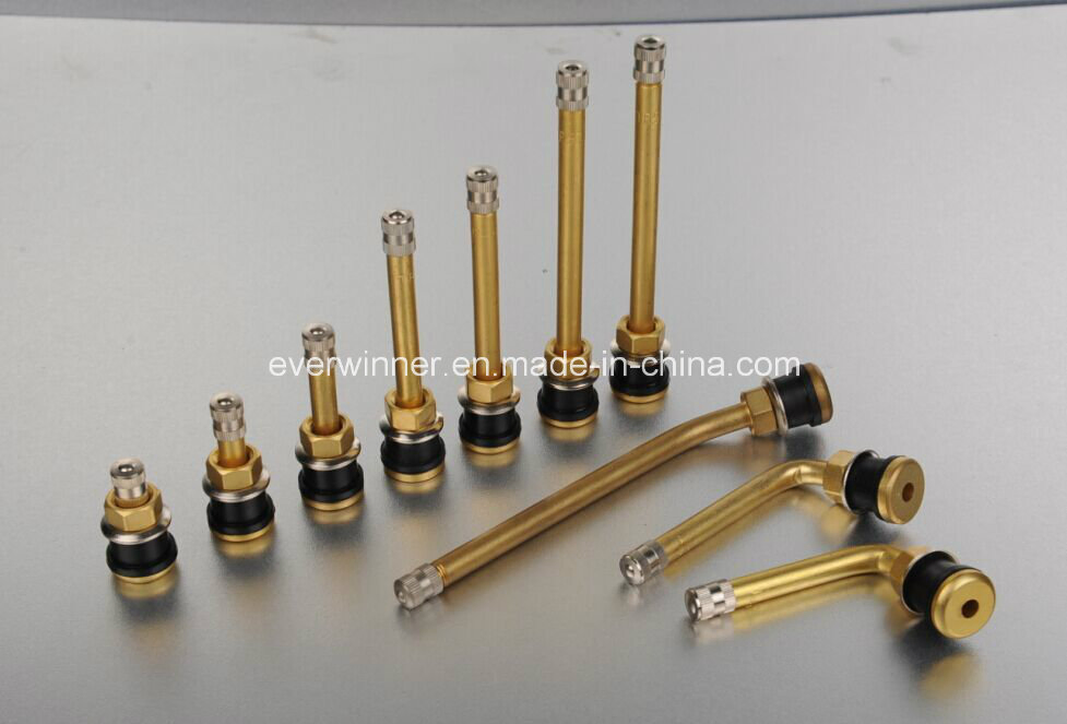 Tubeless Metal Tire Valves for Truck and Bus (TR500 TR573 series)