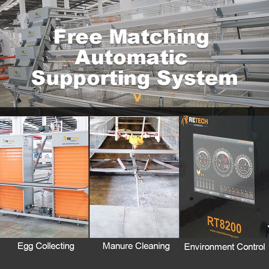 Клетка для кур-несушек на 10000 птиц с автопоилкой