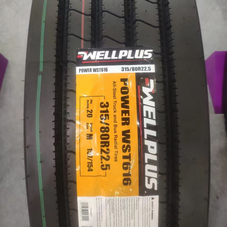 Wellplus Tyre Made in Thailand Good Price TBR Trailer&Steer&Drive for European Market