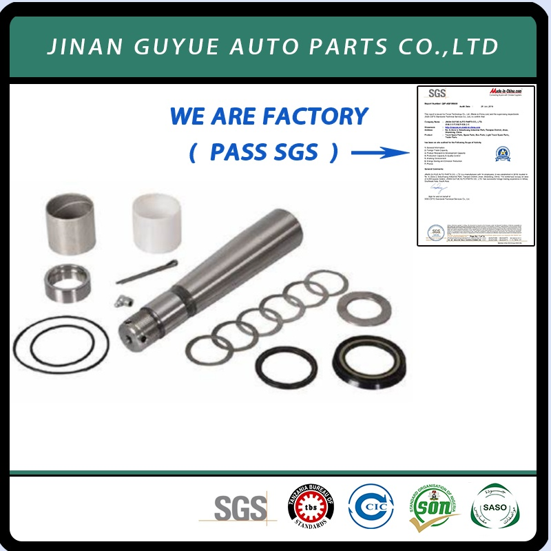 3090266 Kin Pin Repair Kit Used in European Benz Man Daf Renault Hino Izusu Mitsubishi