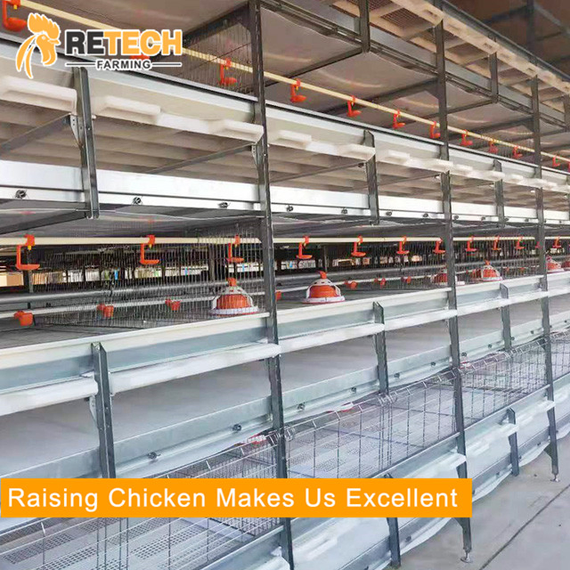 Клеточная батарея для бройлеров с автоматизацией