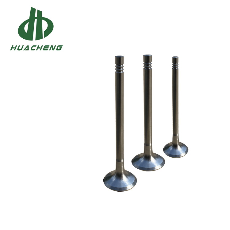 Впускной и выпускной клапан двигателя VW EA888