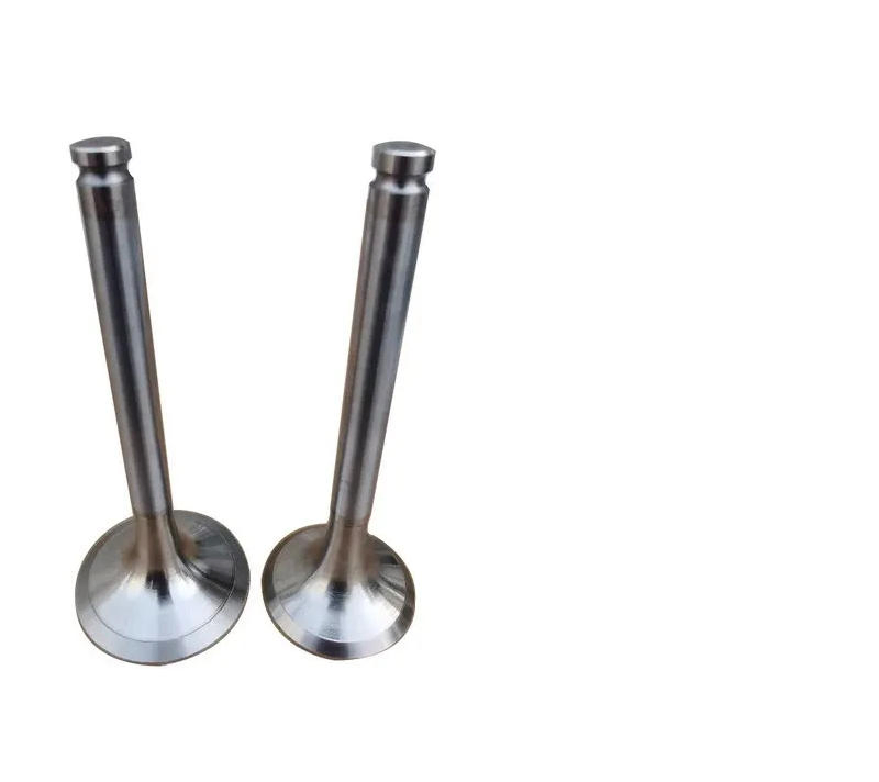 Впускные и выпускные клапаны 11347583777 для BMW N52