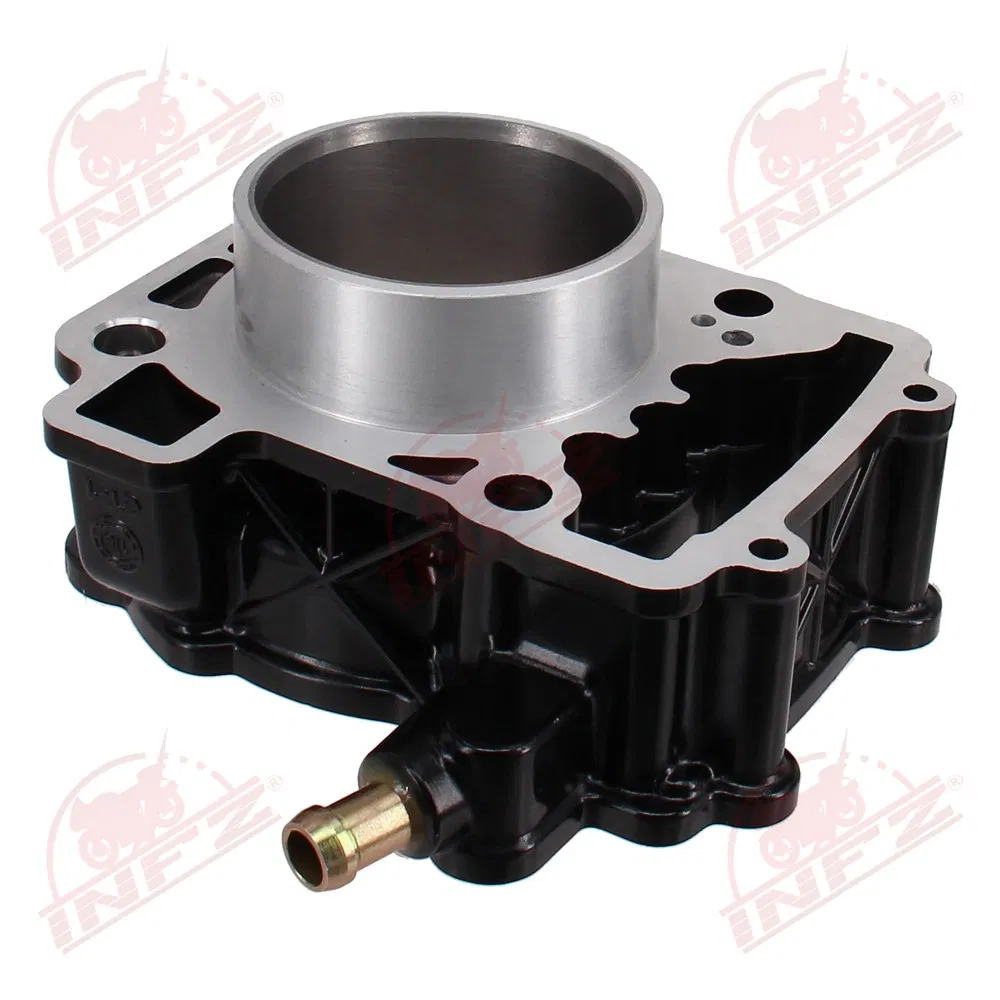 Infz Motorcycle Parts and Accessories Engine Block Cylinder Kit Bajaj Pulsar 200ns Discover125 Bm100 CT100