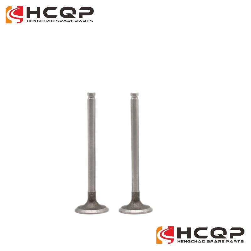 Впускной и выпускной клапан для двигателя Volvo 477447/477443