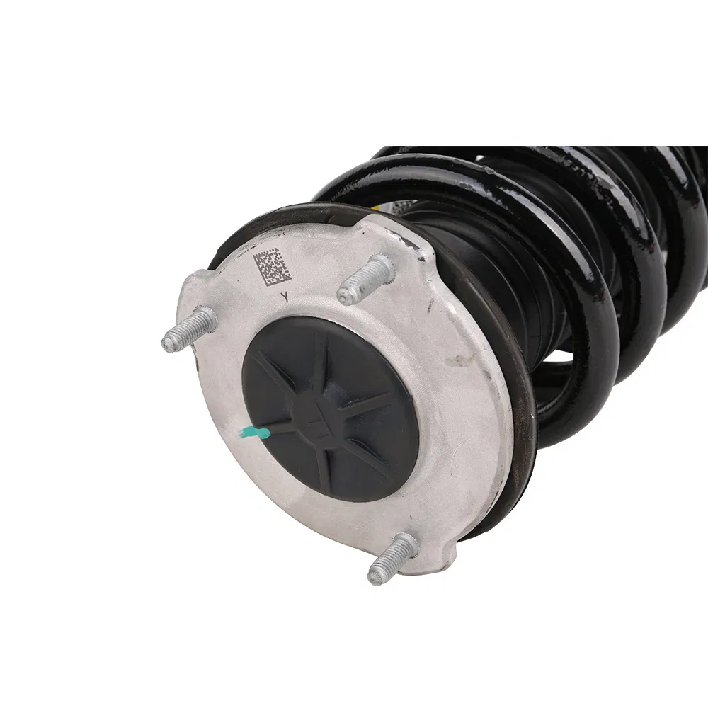 1044368-00-F Shock Absorber Shock Spark Price High Auto Engines Spare Parts Car Parts Vehicle Parts EV Vehicle for 19-23 Tesla Model 3 Front Front Motor 4WD