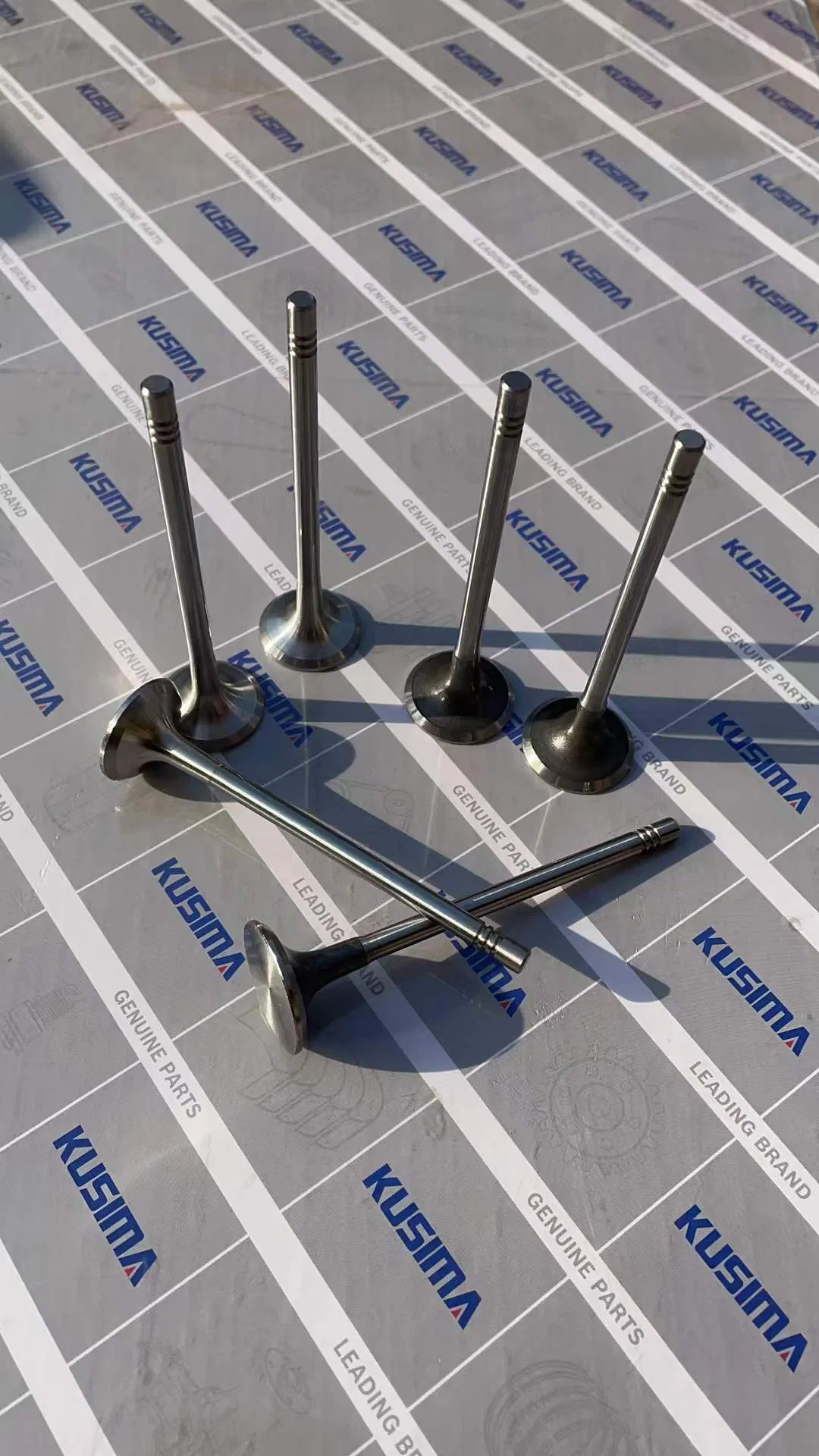 Клапан двигателя для Land Rover 204DT, 204DTD, 204DTA