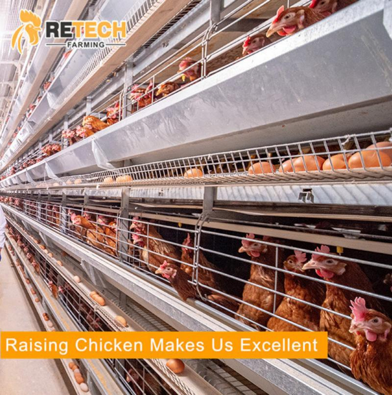 Автоматическая клеточная система H-типа для кур-несушек