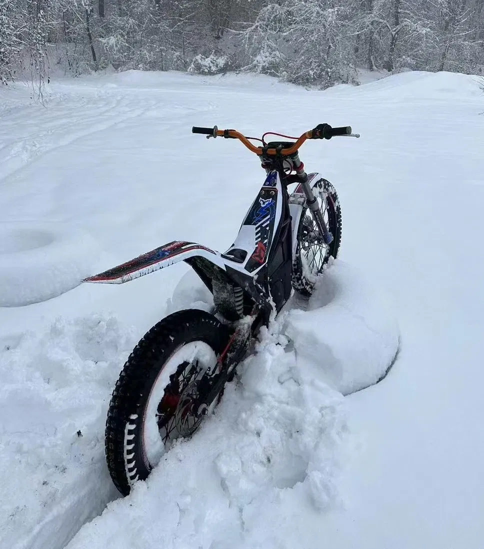 Arctic Leopard Snow Leopard Ex800/700 Extremely Strong Power 75V25kw Electric off Road Motorcycle