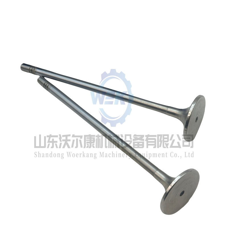 Впускной клапан двигателя 21016539 20768519 для Volvo D13, Tad1340ve