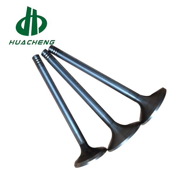 Клапан двигателя Volvo D7E для дизельных грузовиков